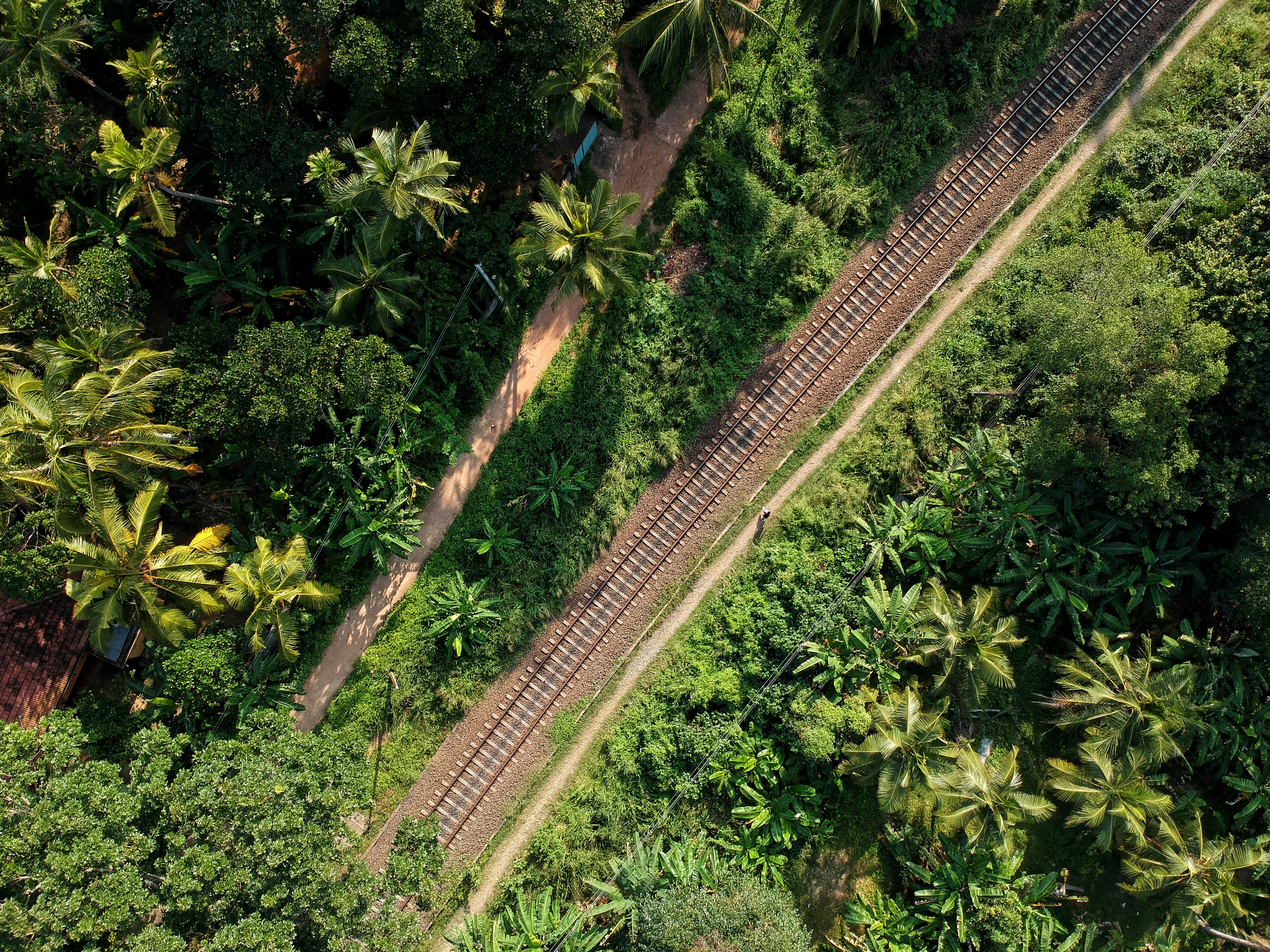 aerial photograph of train rails between trees